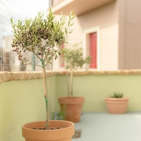 Daire Casa Katerina *